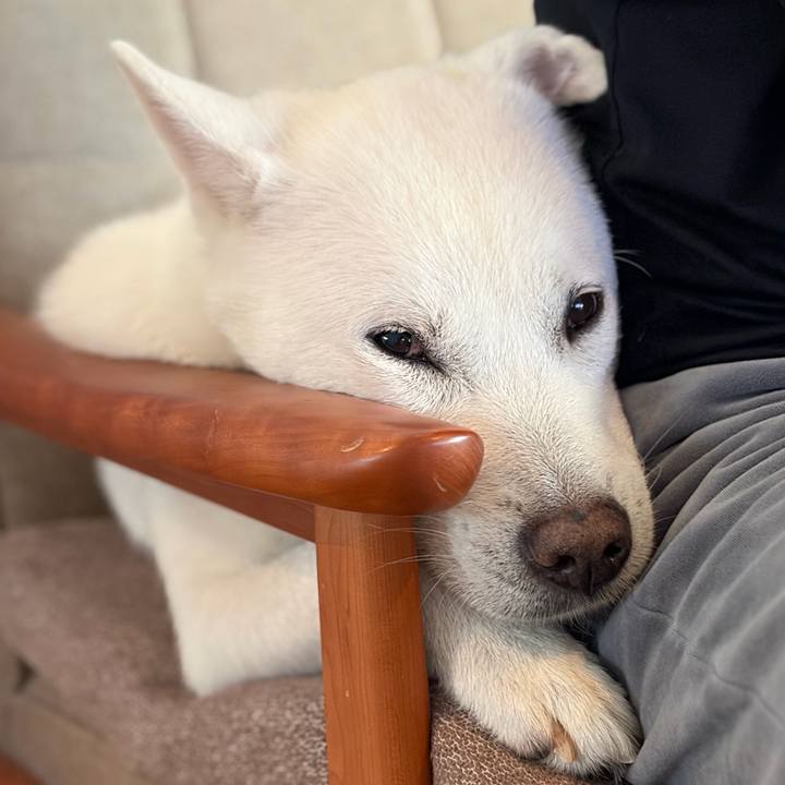 4031cae4 97d9 4ac6 991f fd3fcd66f002 1773706596782