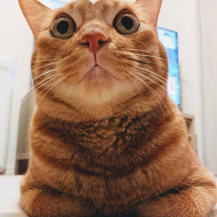 4031d146 0b1e 4392 a194 eb0597d08546 1629798080811