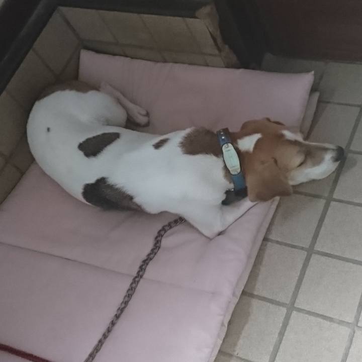 40320f62 c98f 430d b6df 121defe8665f 1567228298388