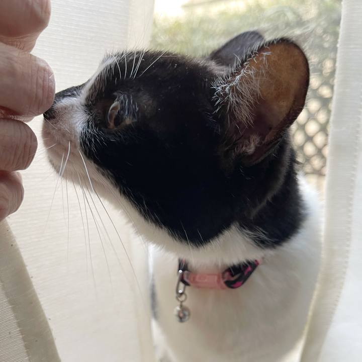 40323da4 9b18 4c62 9c4c 9f5eef3fa8a0 1768356471740