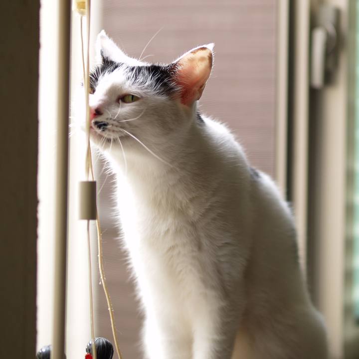 403264af ace9 4dbf 8e61 af100fc6484b 1766053877937