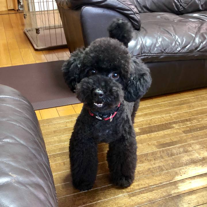 403283b7 68be 428a 8e0a 7cf60ee79088 1566858335939