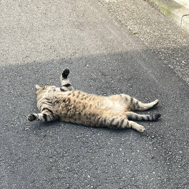 40328d7c a191 4018 8ca1 b636b34e4264 1626938243734