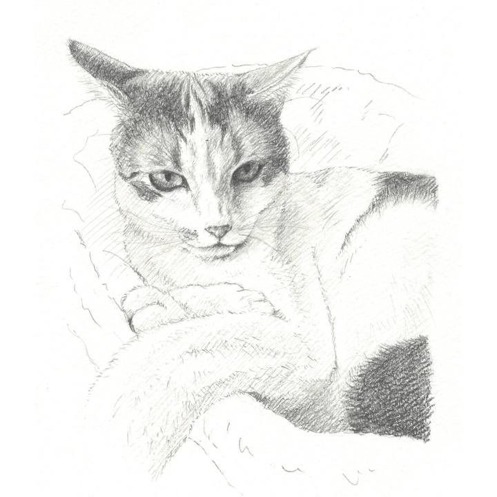 40328db0 9ef4 4ed9 8f73 4ae898c3c7f2 1542552307461