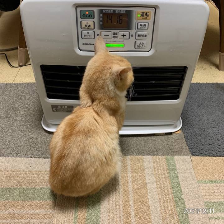 403297d2 0395 4b48 92d1 498ab9a99e2a 1639218713218