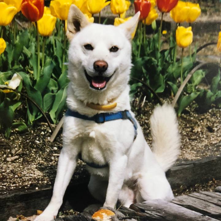 40330658 7eca 489d a317 c983751fb952 1600081433203