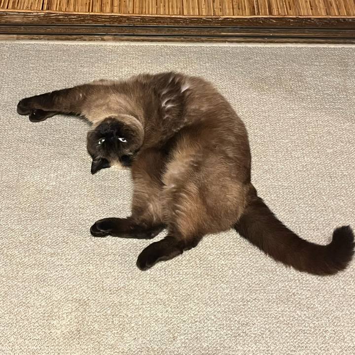 403317b9 4f2d 44dd 9328 5e8f5f76bd13 1745416299718