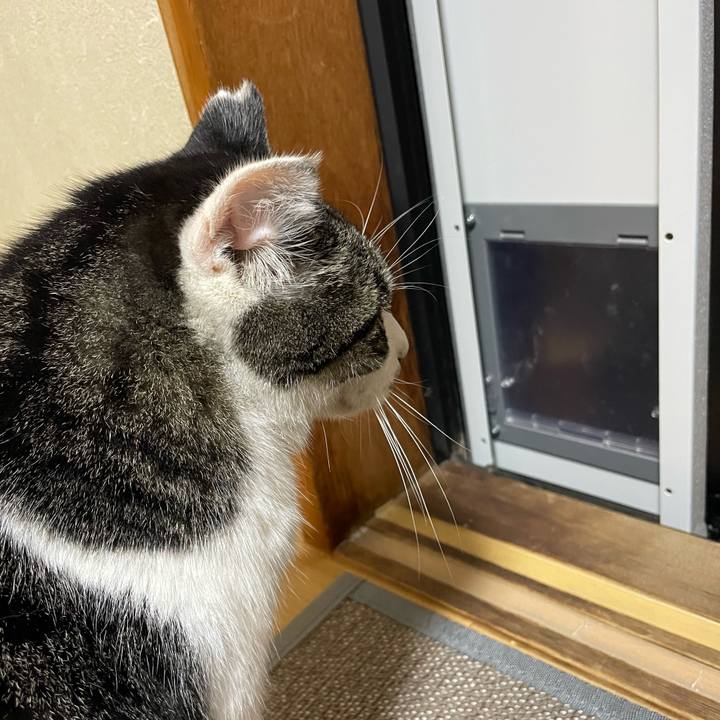 40332dd4 7c11 4c18 9cba 2daf1fa739d3 1699785069034