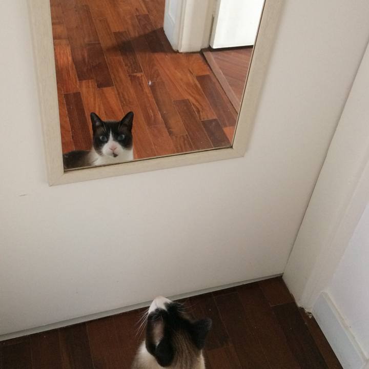 4033d093 5edc 4426 8a71 b5061c12f3b9 1517174366399