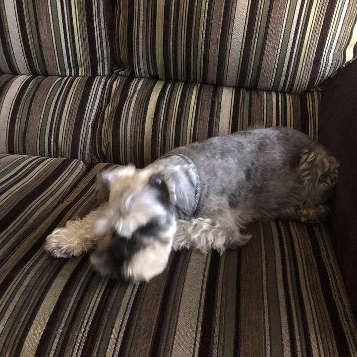 4034118e c3e1 4a70 83a0 208899b7fe56 1564207412219