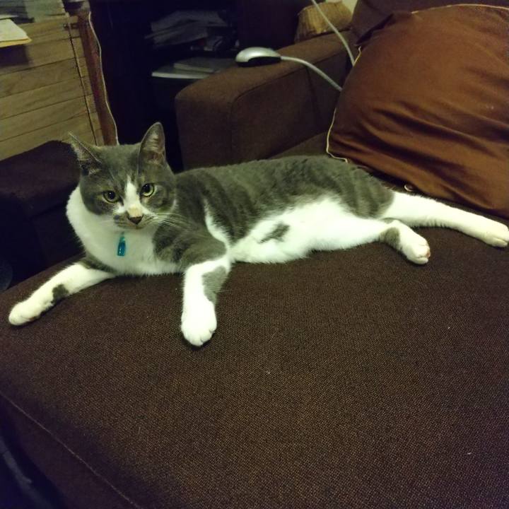 40341956 630a 4217 9bf9 fe33981090c1 1629807386106