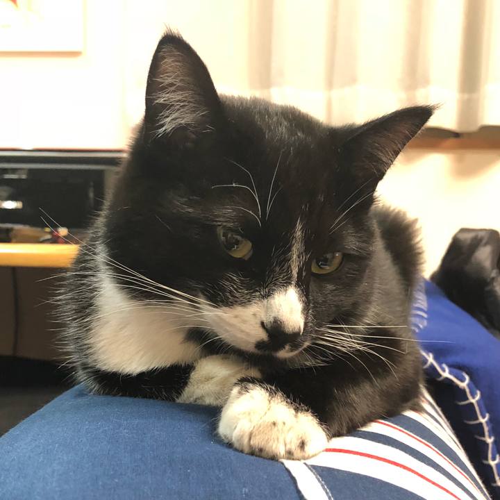 40343def fb6e 4ed6 a071 458614561eda 1520668658506