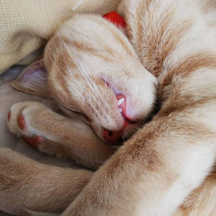 4034ad9f dbd6 4306 8cd5 47568054c938 1555811096750