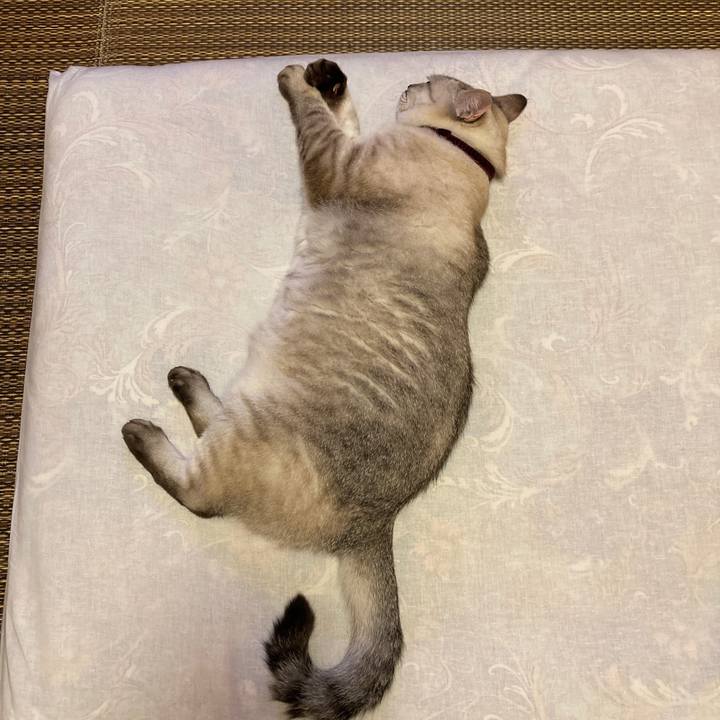 4034cf65 4bf2 4f26 88ea 397202359268 1634226499693