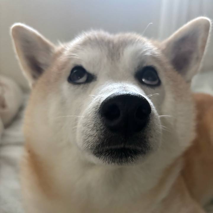 4034ea01 2c3e 45bd 951c 18d795f4f5f3 1745708406272