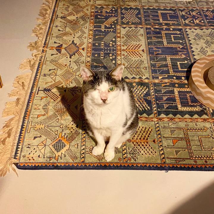 40351818 14fc 4483 9c37 36740ca2056f 1602592148042