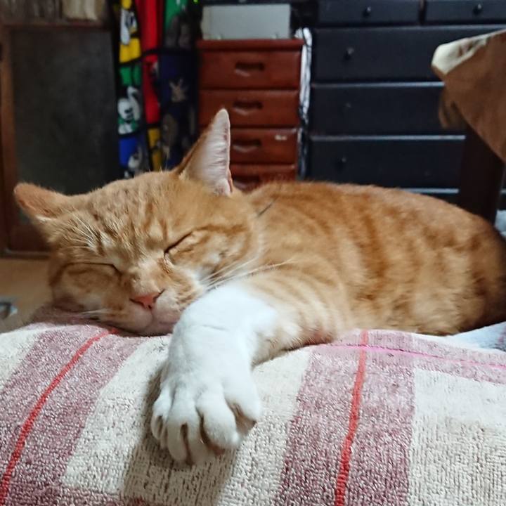 4035568f dd66 4d40 be5f 6639bc95d099 1604726969765