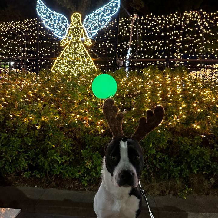 403581af 32a6 453c ab1f 145e2a1af7f2 1703425024319