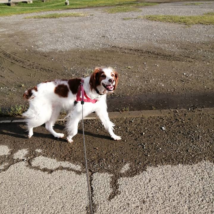 4035cfc7 3a4e 40cc a7f2 c80a2e125efa 1631705513454