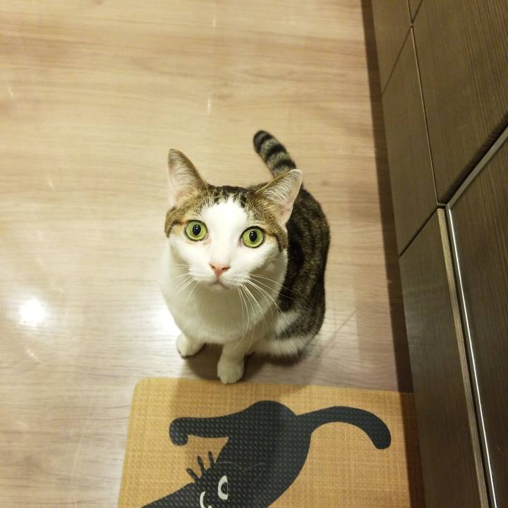 4035f9ed 7089 4572 b0a2 d35cfbf36a4f 1578600138208