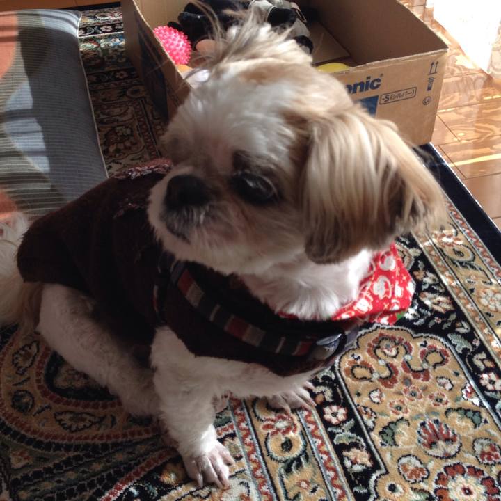 4036636e 5485 4868 964c f8b6d7c358bf 1513806738561