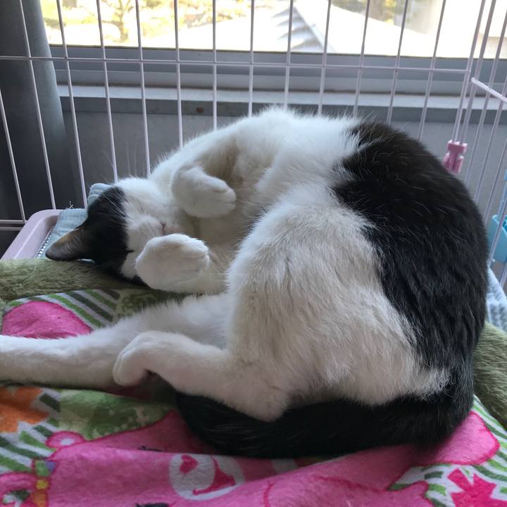 40366cfb 8a46 413a b819 795f9de02798 1557404985390