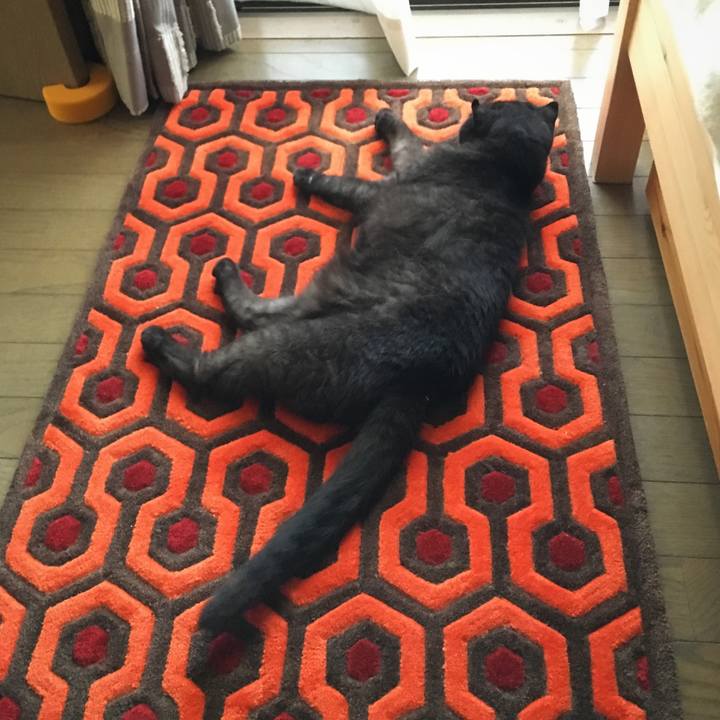 403671f0 0abb 452b a92e a141a7c49487 1530308537013