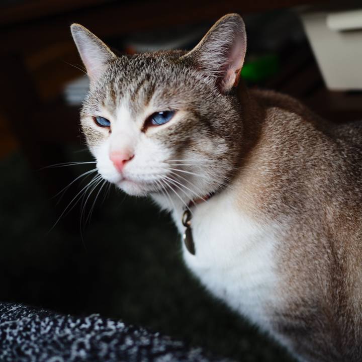 40367e28 f3d1 401f a91a 4dcc83598e75 1625910335723