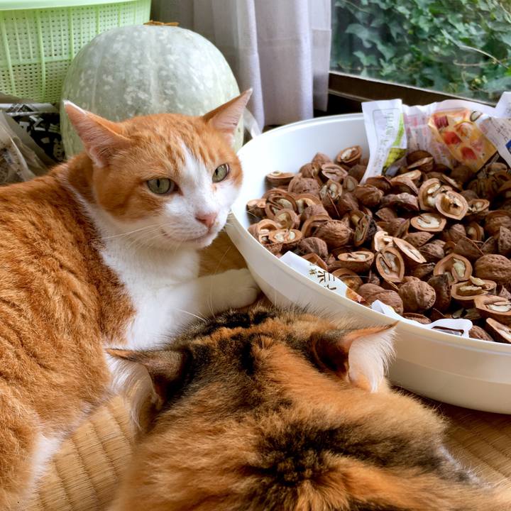 40368a0f 6276 4d55 85ad 0ff49dde9a9f 1570418152347