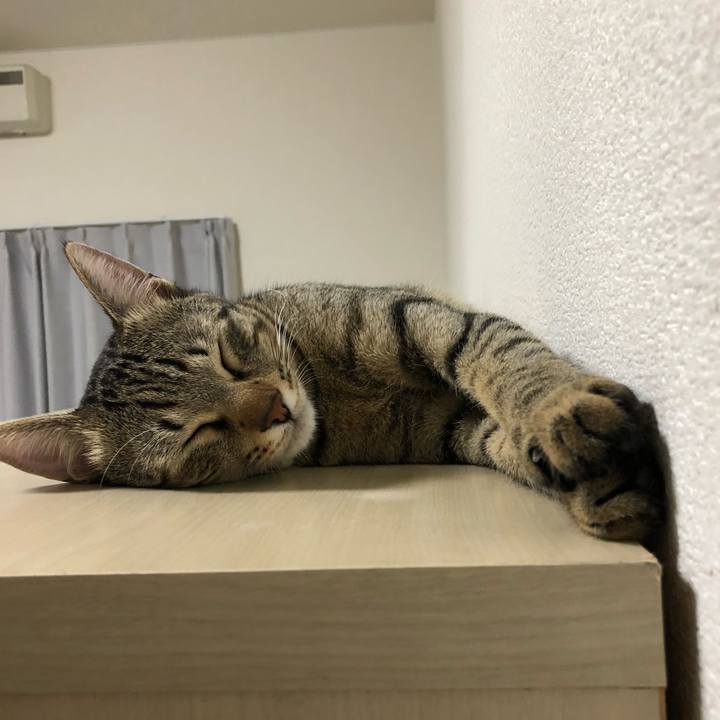 4036963c 1376 4a6d b22a 2d9c0e82504f 1522592111890