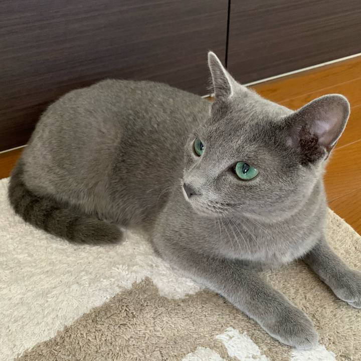 4036a36f 1121 47da ba66 57d7b45a703c 1579412450124