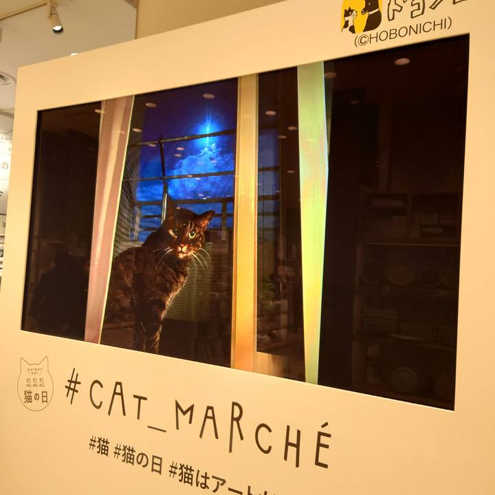 4036bf73 f3ab 49cf 81d3 5cfa61a5cb97 1645801492237