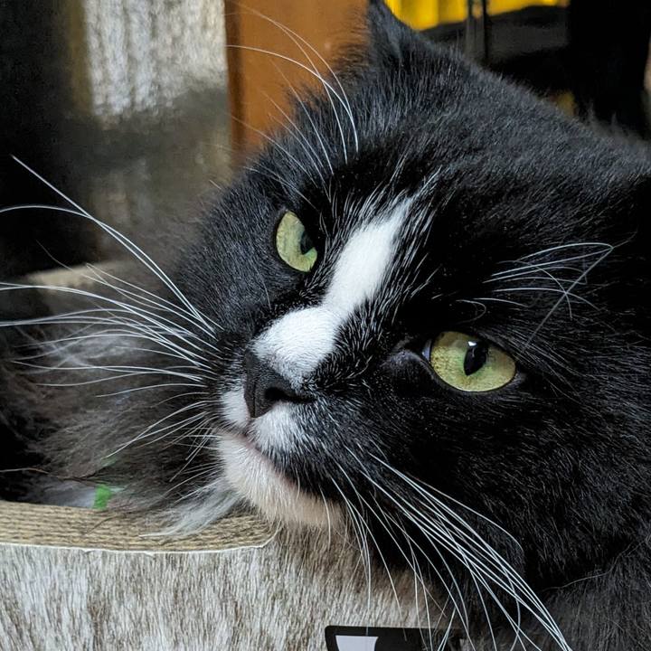 4036dbea b4d1 473b 9292 3acb130fba61 1697417000190