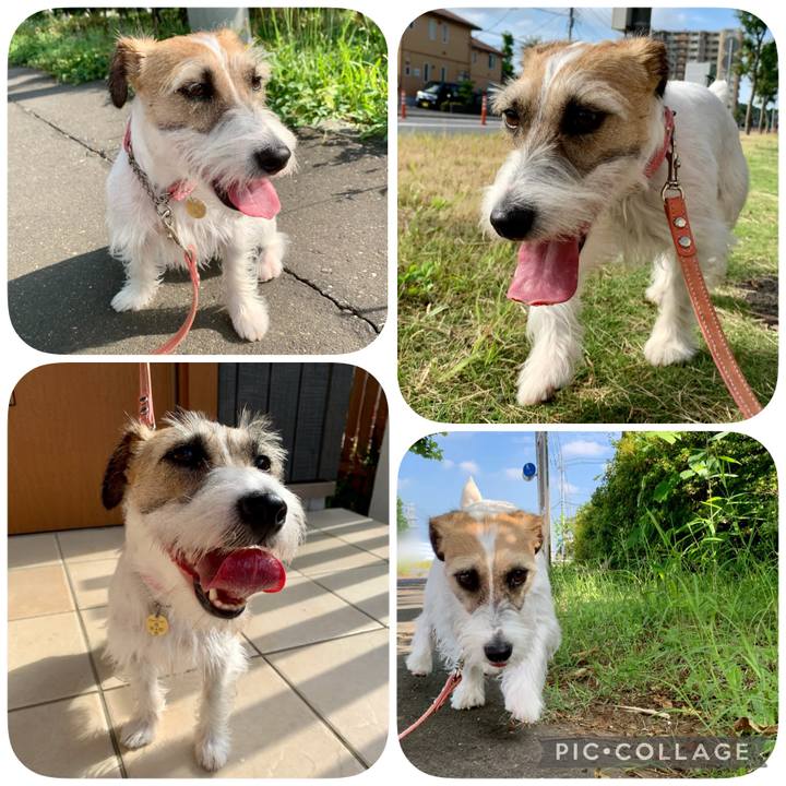 40371e01 e4a6 40db bd18 e6eaff8197f5 1624677333340