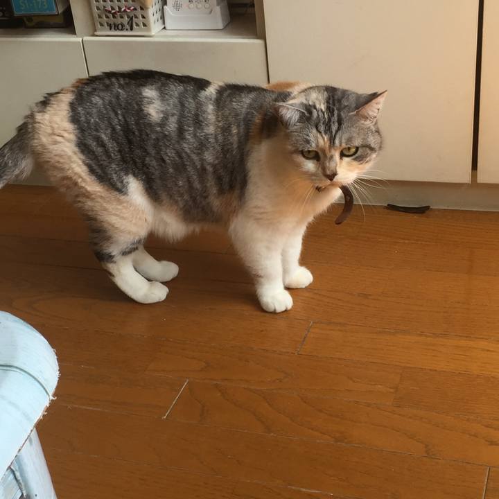 403720bd 5f1f 4232 bfcb dc4c20d5ede4 1554520547015