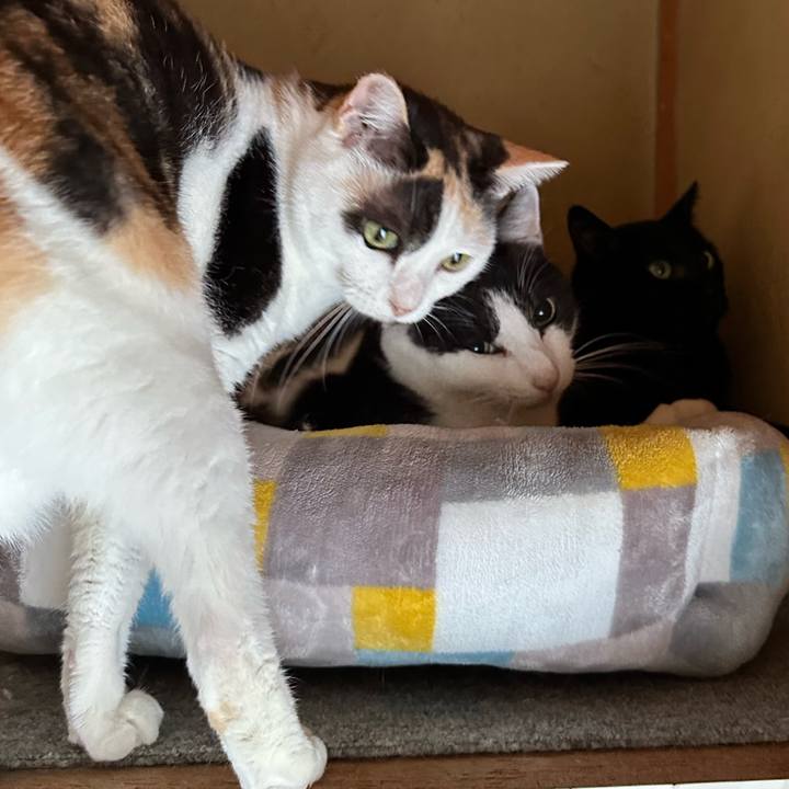 4037336a 8c22 4fc1 b315 6a0bbada2530 1696640289776