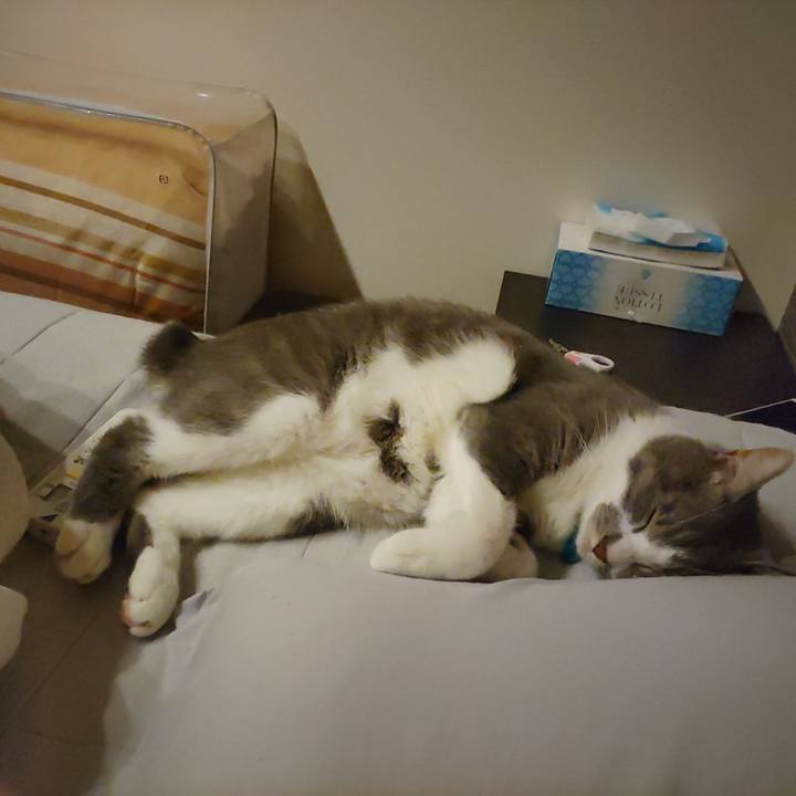 40374f51 16f2 4acf 873d 5c214d13df8d 1661517317088