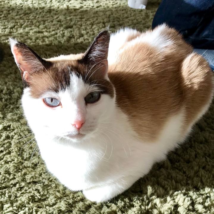 40375349 eb46 4c4f a854 6935bebbc313 1546251274179