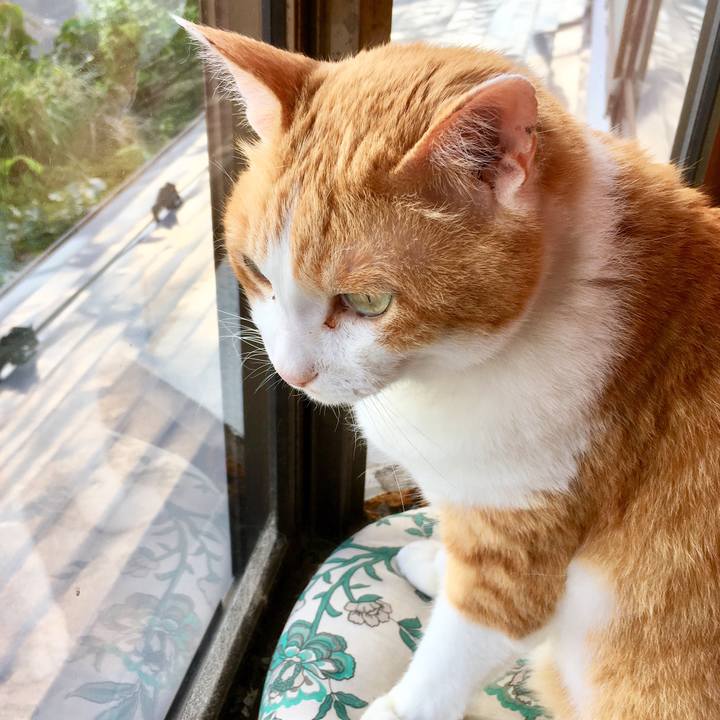 403778a0 9292 4996 99ba 62f1ff752e40 1561085597303