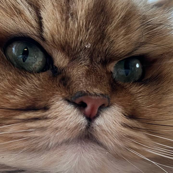 403778aa 7579 412d 8f82 03d0fbeb5842 1713177904288