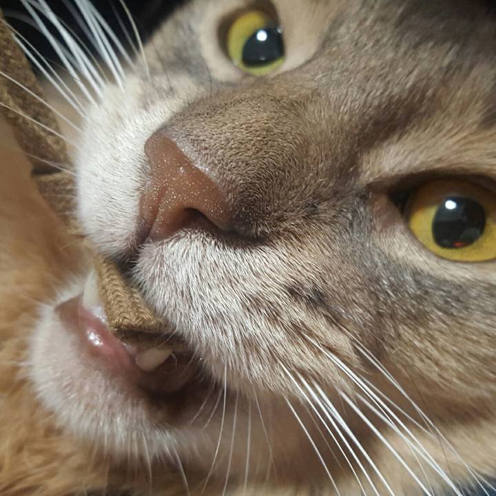 40377acd 9b60 4d89 930e cc138f58b7b5 1542885872084