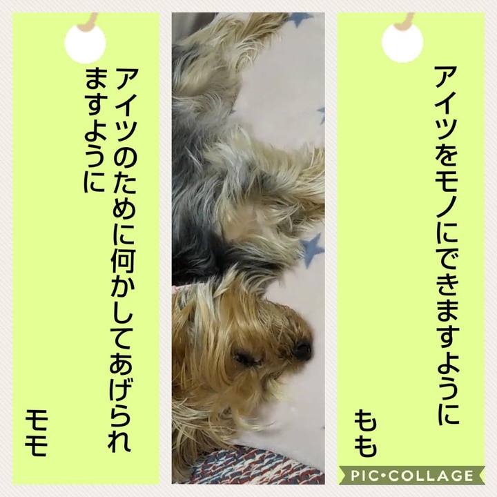 40377bd9 2e8b 48eb 918b ad8eca80d694 1594113497522