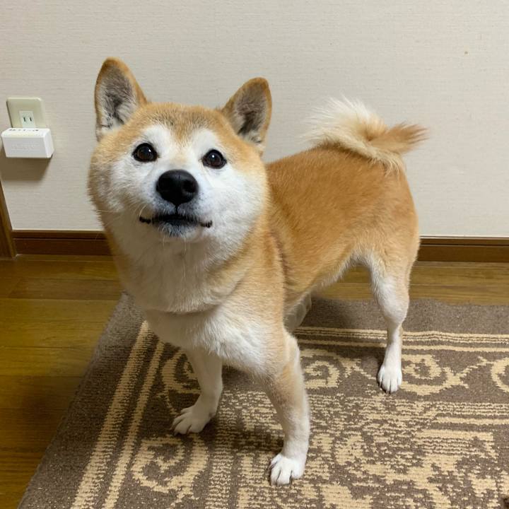 40378e41 66fb 4648 8f12 1961b776e40f 1678702634786