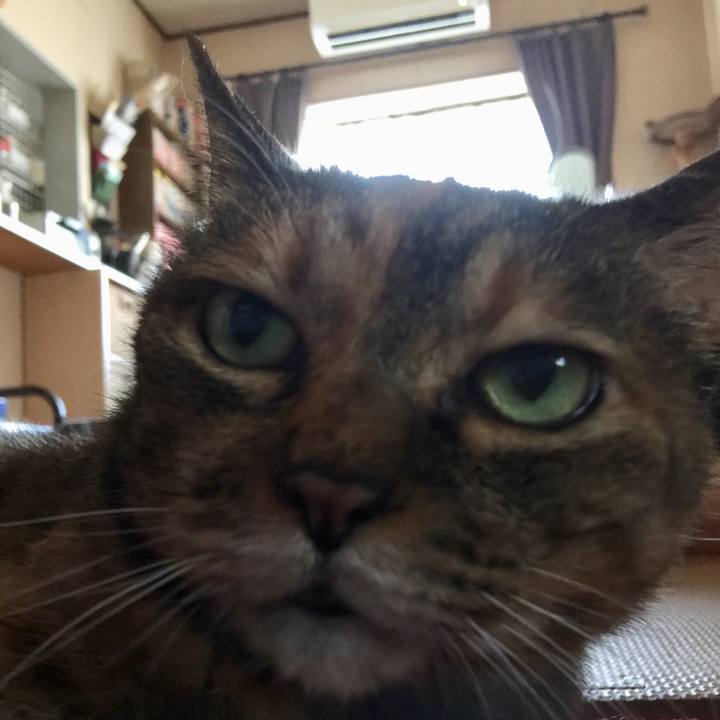 403795f1 151d 4cf9 b80f 4a1f6845e28d 1565675777114