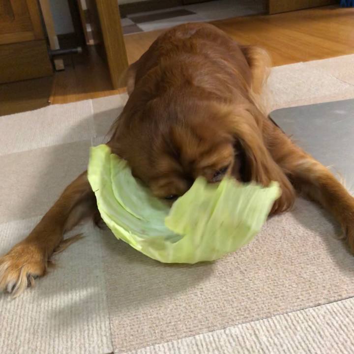 4037d67c 79fe 4eb9 bc15 be36c6e6a69e 1567167893913