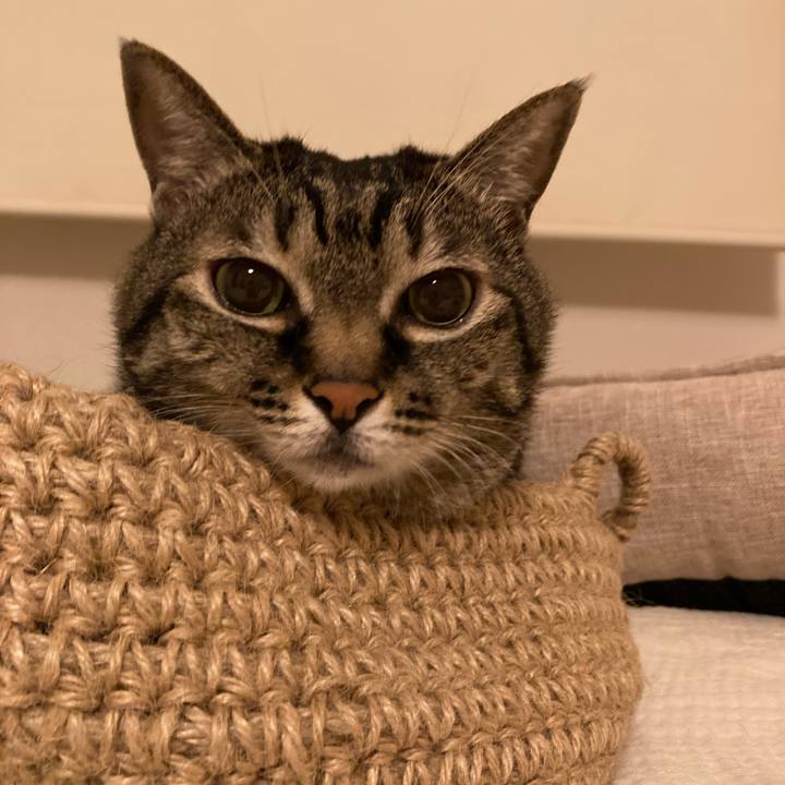 40380e16 c1ba 4bf5 a077 b3c49014b999 1756769776763