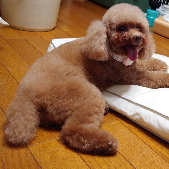 40382b58 4ad6 4d19 aeff d3636b119b3f 1718451140385