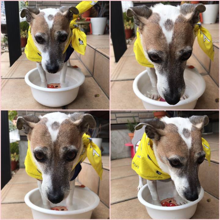 403849b8 91db 4cdb a5b3 2c0825773a6e 1521788309441