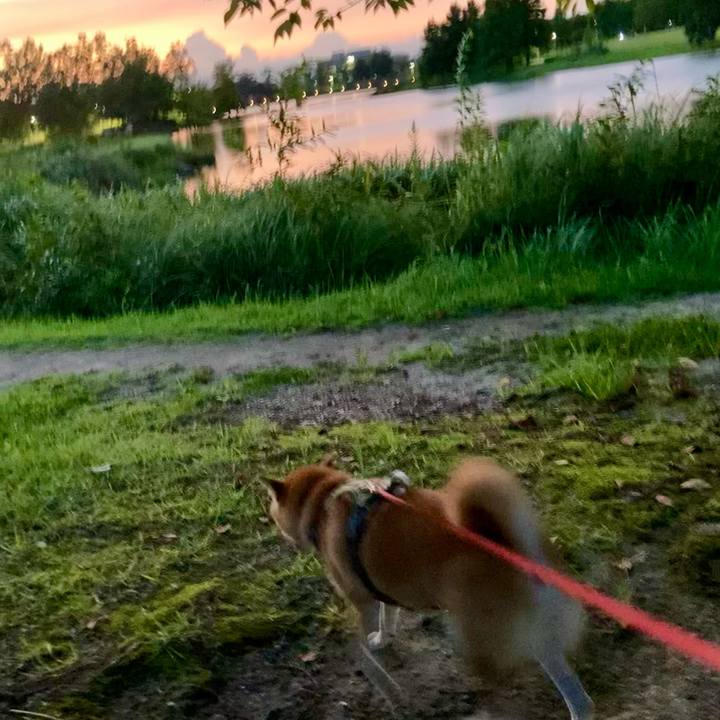 40386aa4 d9f8 4489 8c0a cea3928141e3 1663159987328