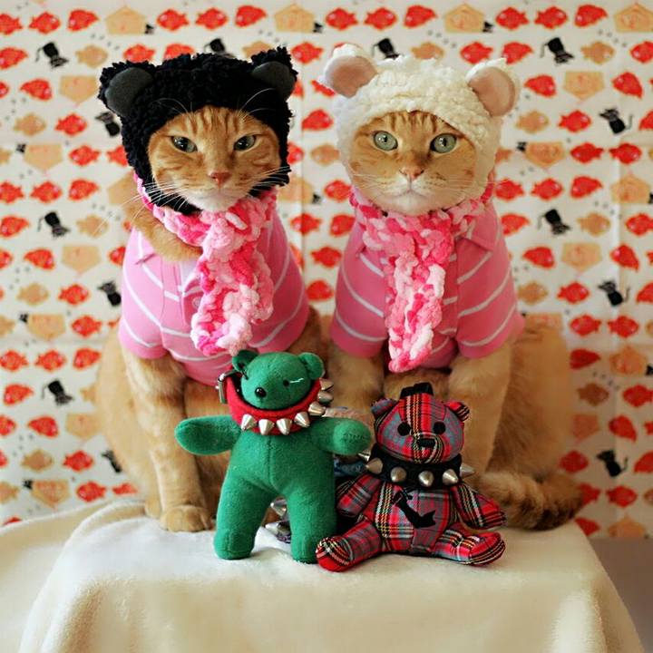 40387ba8 7578 44ec a7c9 e631187ac4be 1514352830071